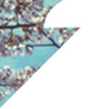 36. Filmforum